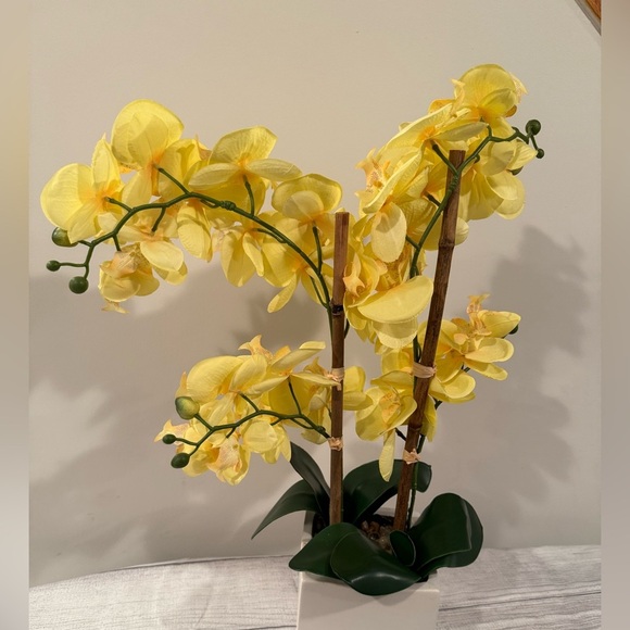 Yellow Orchid Arrangement in White Planter - Picture 6 of 9